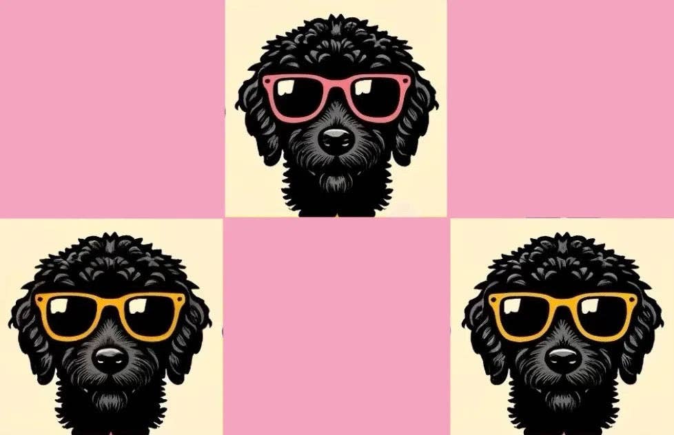 Checkered Doodles Footies