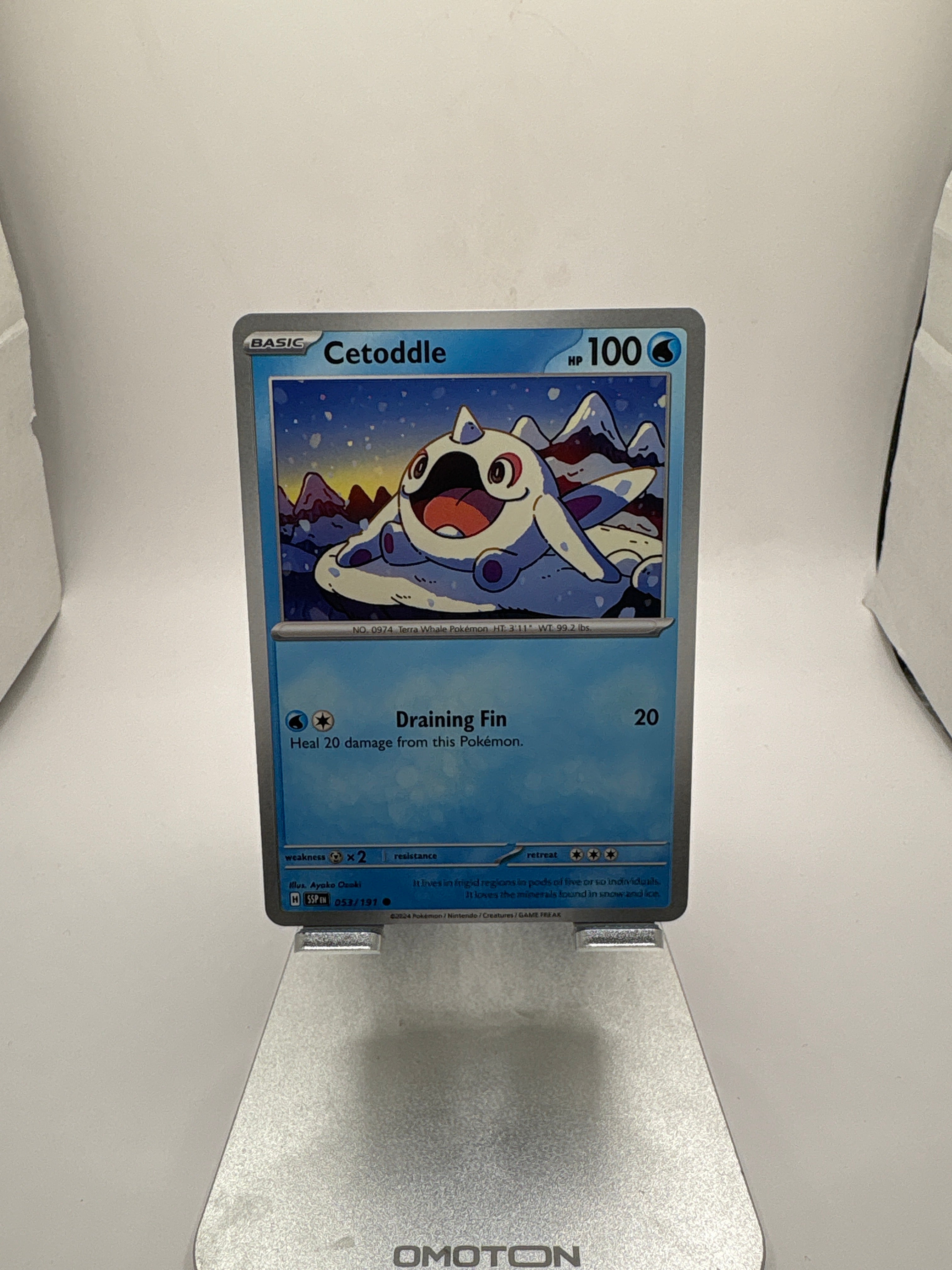 Pokemon Cetoddle