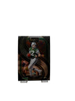 Select Joe Namath