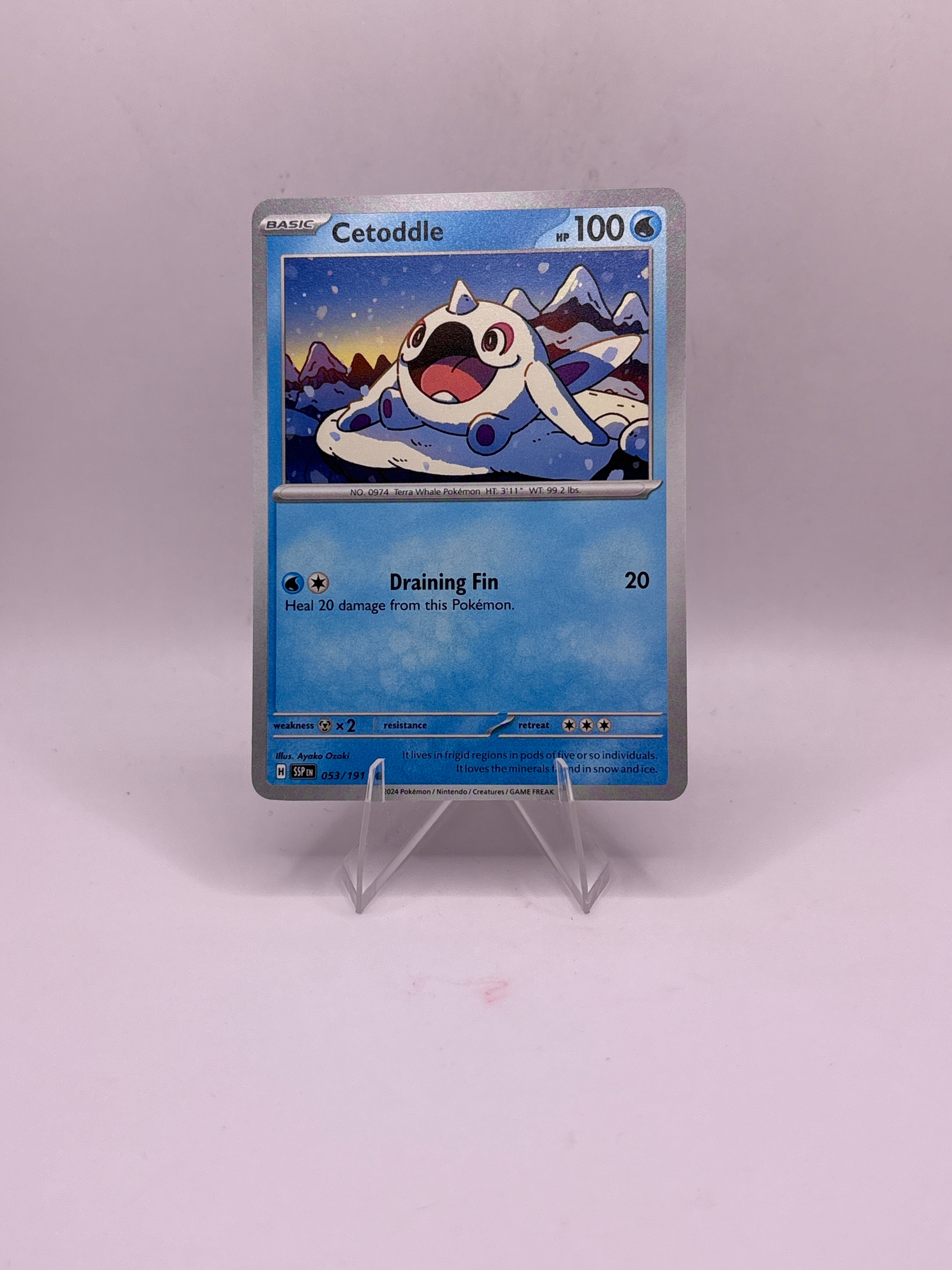 Pokemon Cetoddle