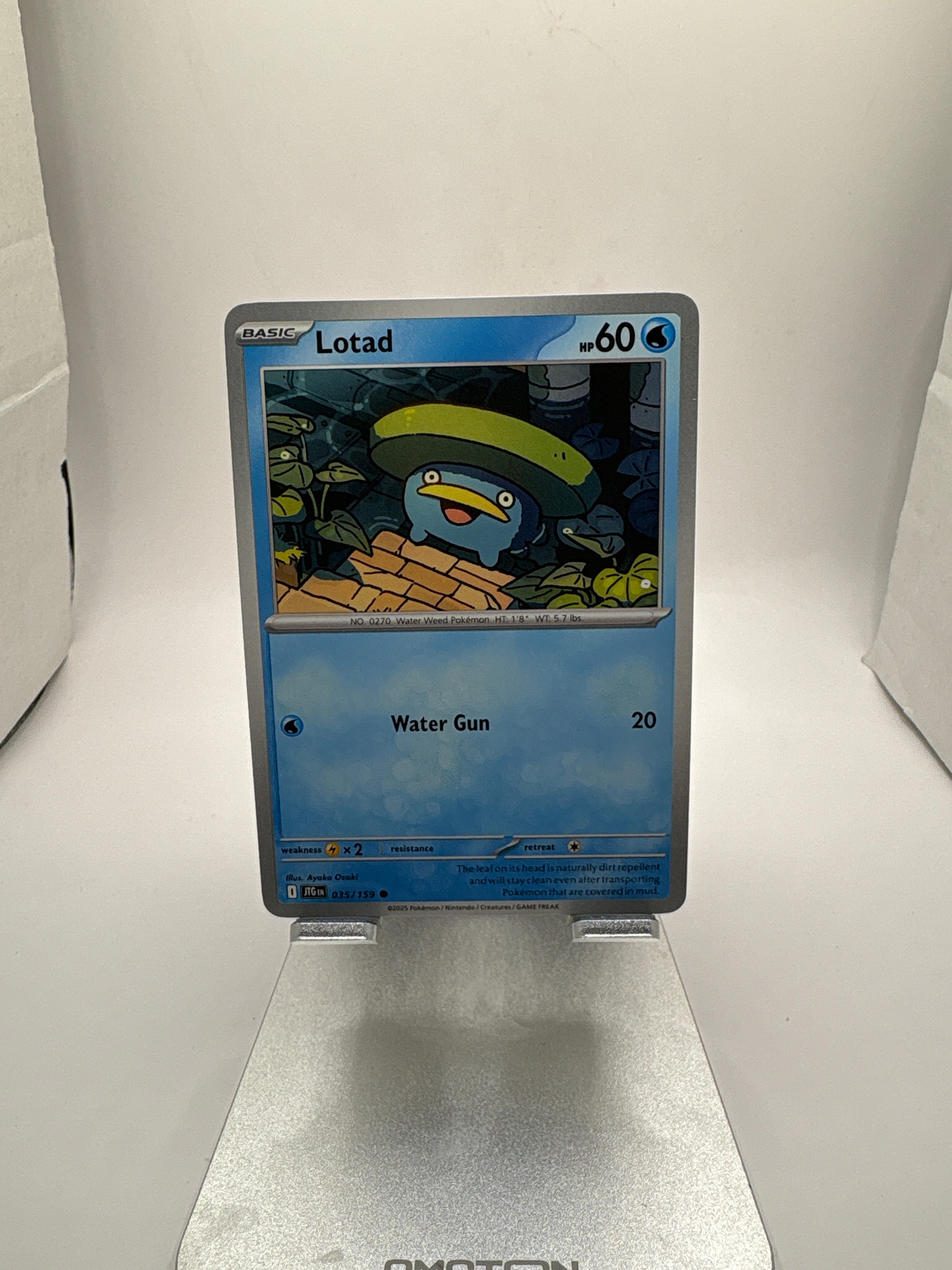 Pokemon Lotad