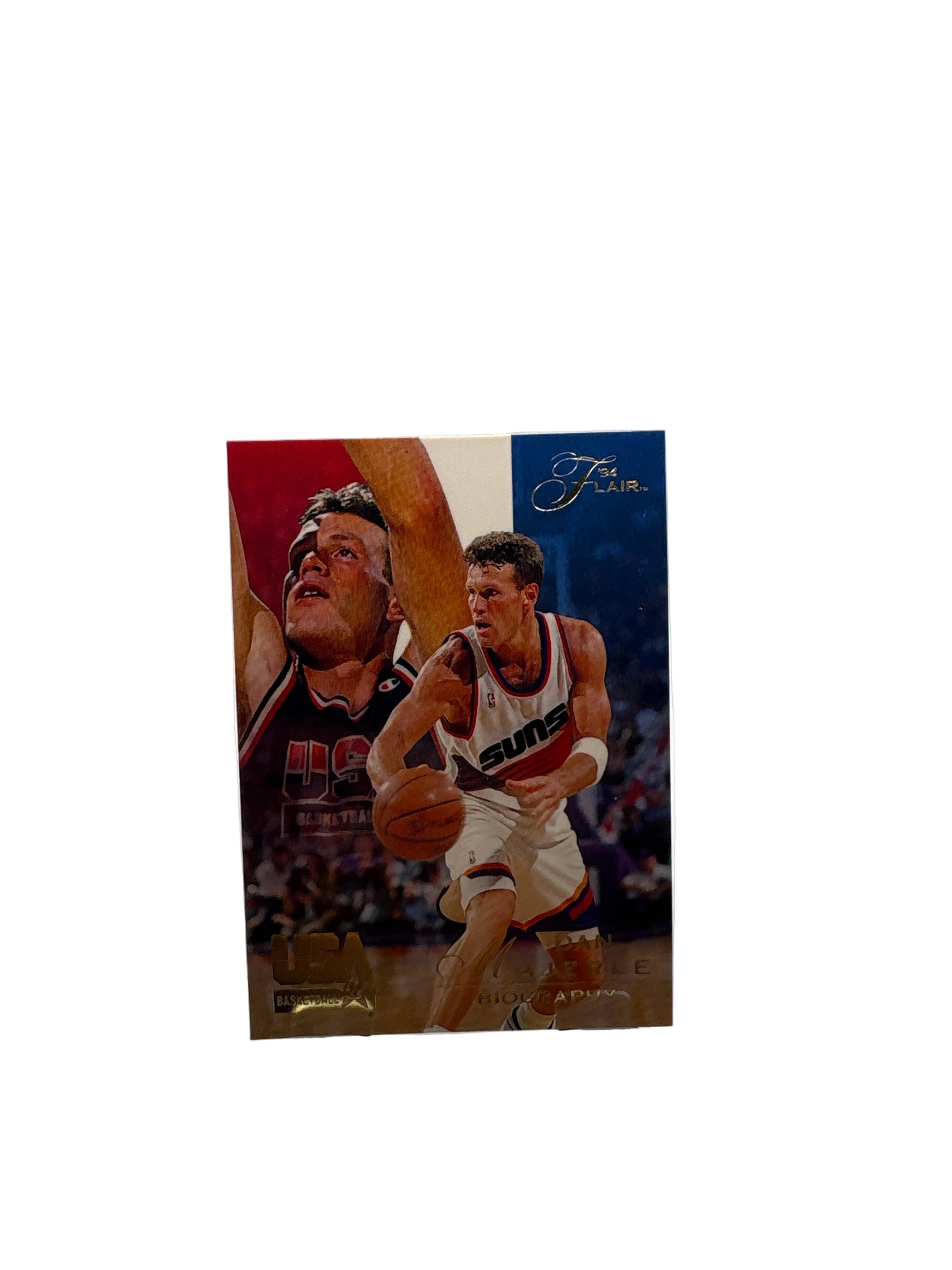 Flair Dan Majerle