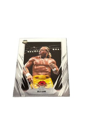 Topps Billy Gunn