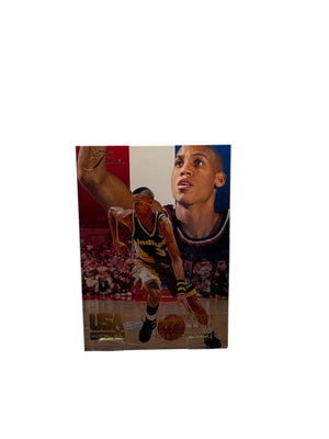 Flair Reggie Miller