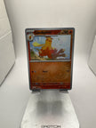 Pokemon Combusken