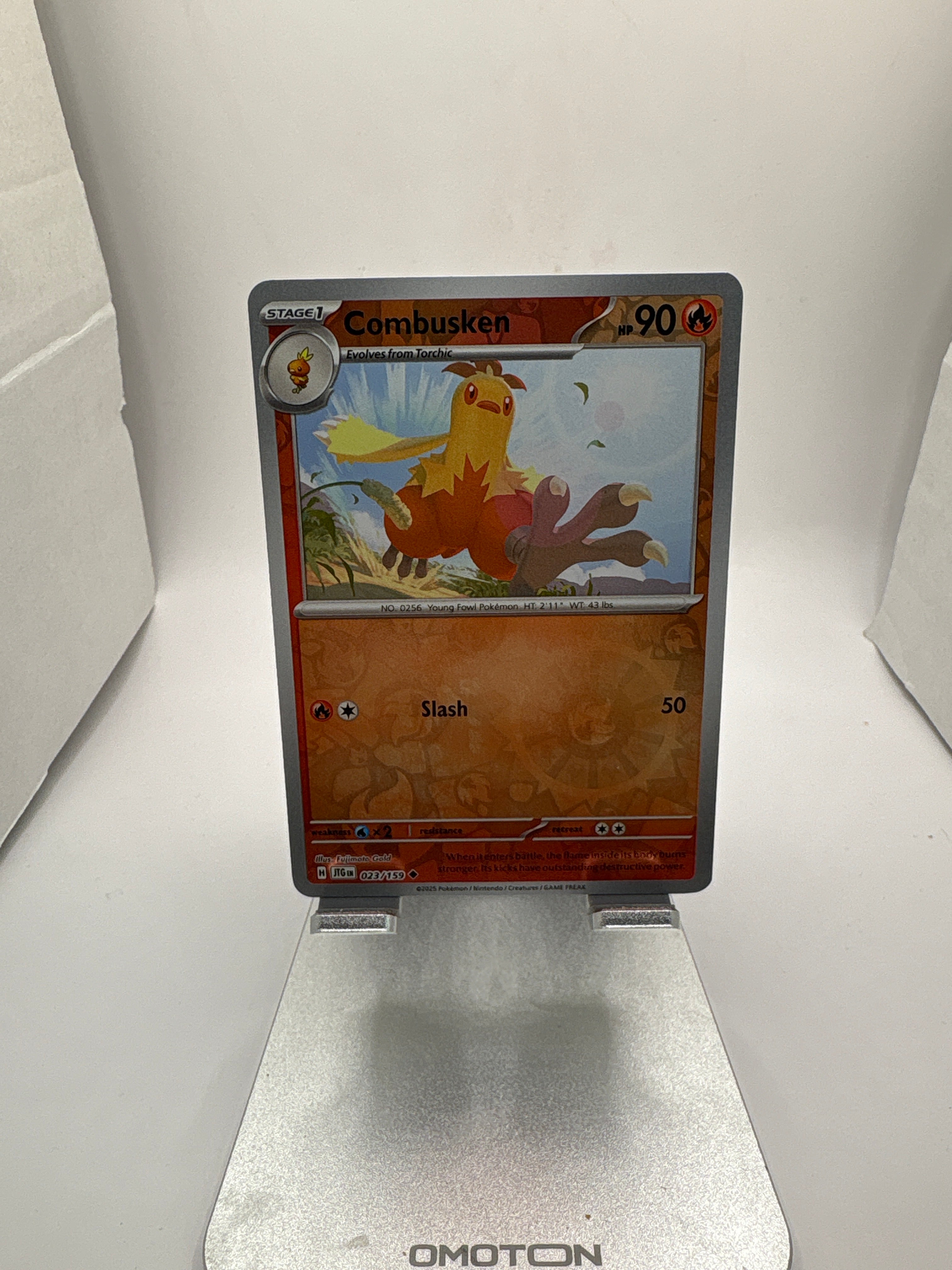 Pokemon Combusken