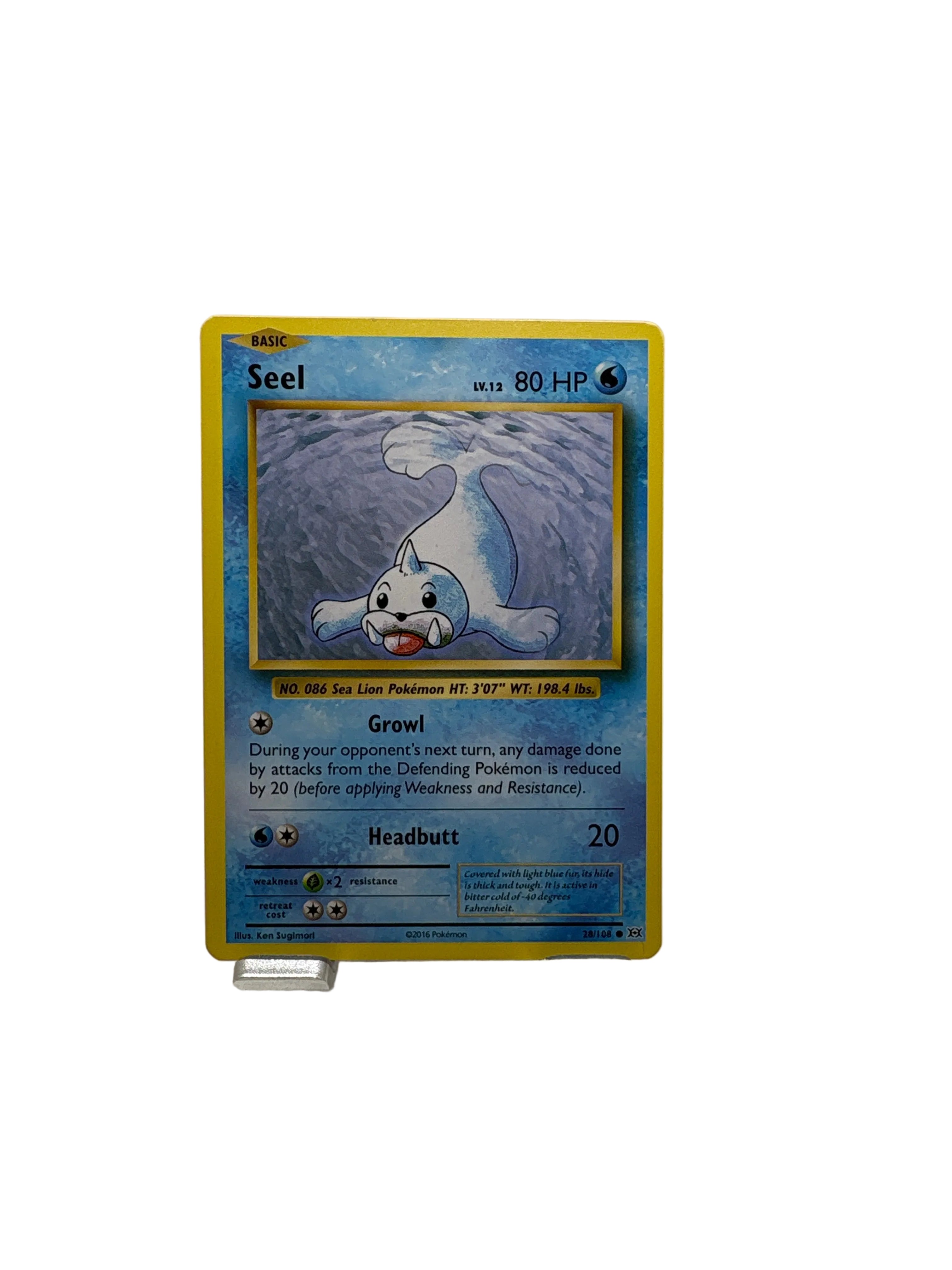 Pokemon Seel