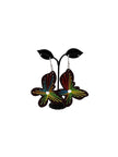 String Art Butterfly Earrings