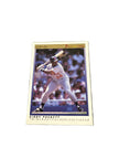 Premier Kirby Puckett