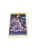 Premier Kirby Puckett