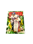 Skybox Rod Smith