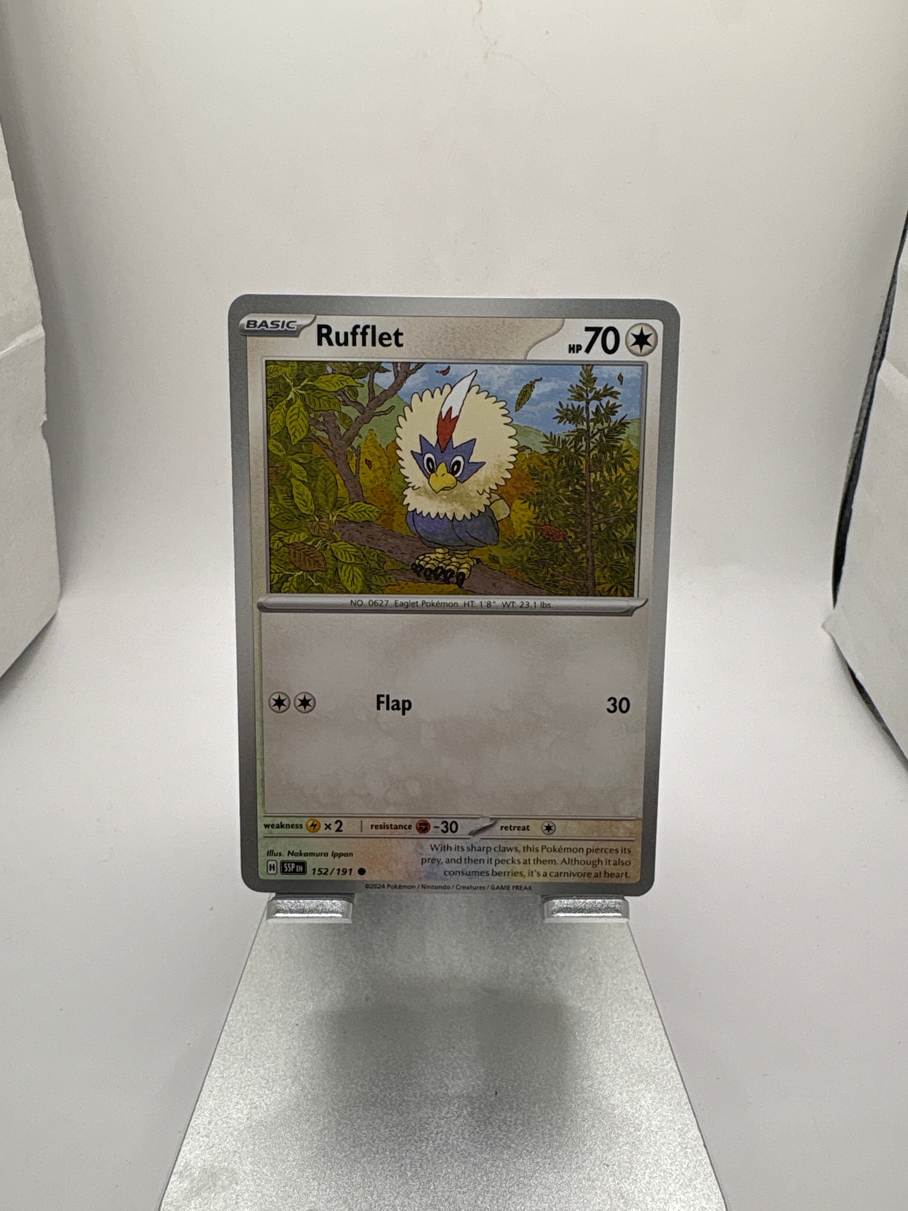 Pokemon Rufflet