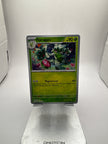 Pokemon Floragato