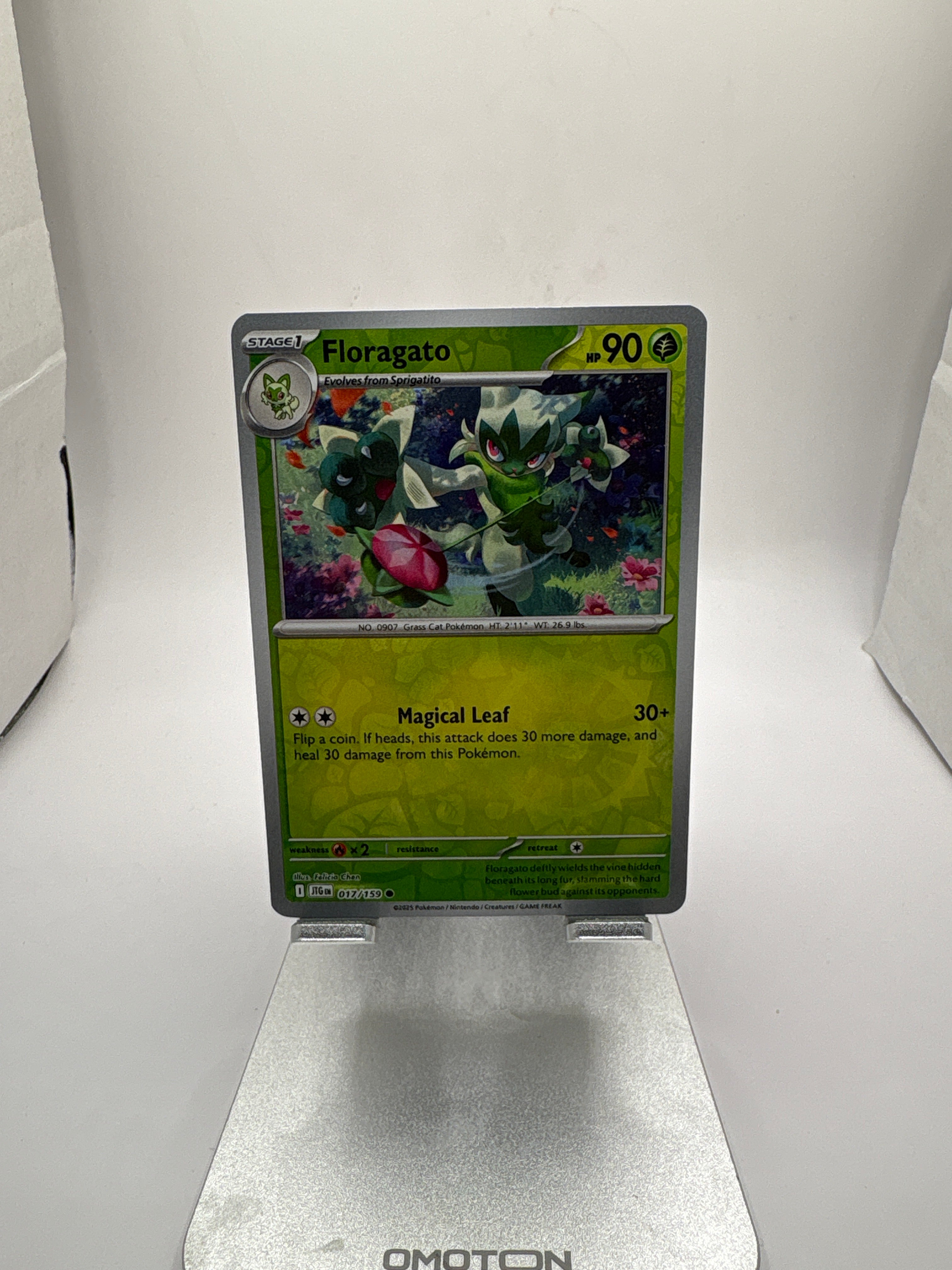 Pokemon Floragato