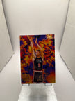 Flair Dan Majerle