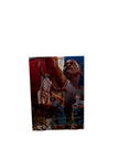 Flair Dominique Wilkins