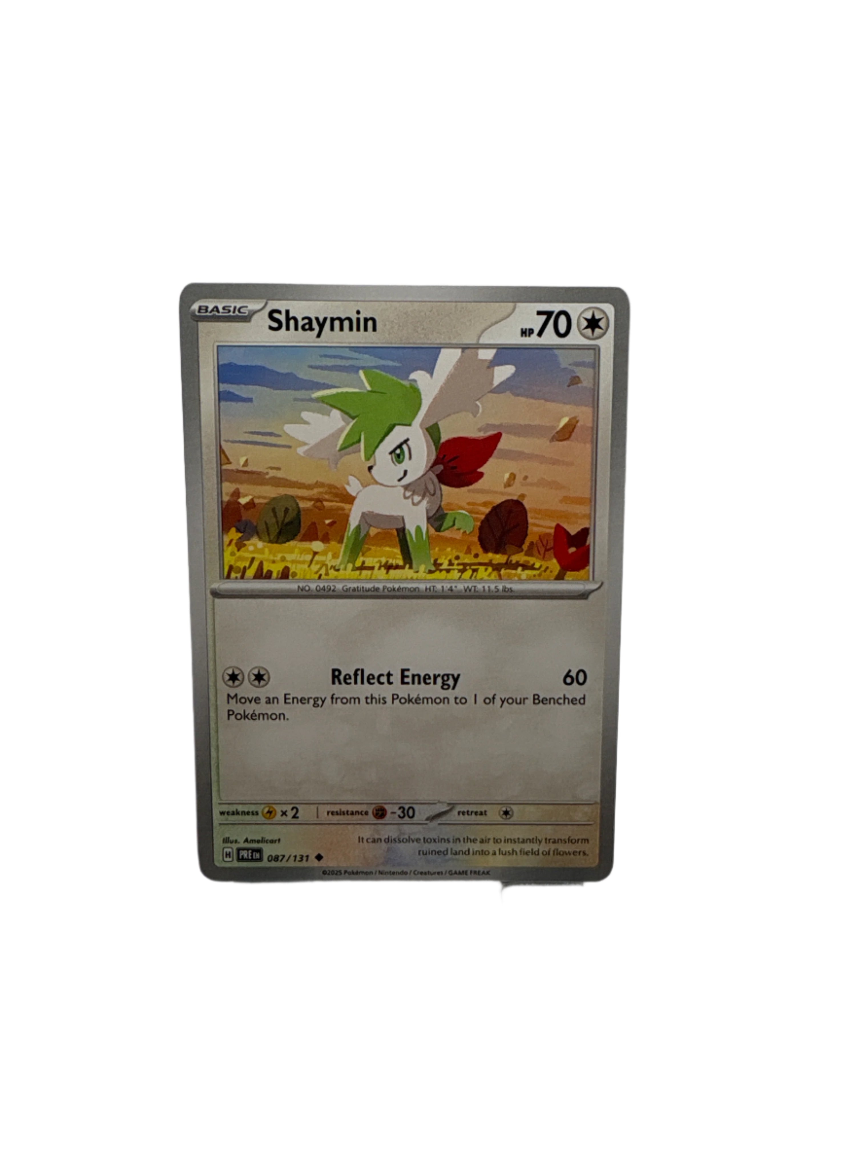 Pokemon Shaymin