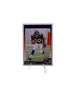 Score Terrell Davis