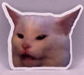 Cat Sticker