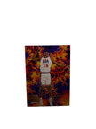 Flair Larry Johnson