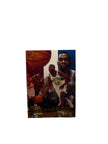 Flair Shawn Kemp