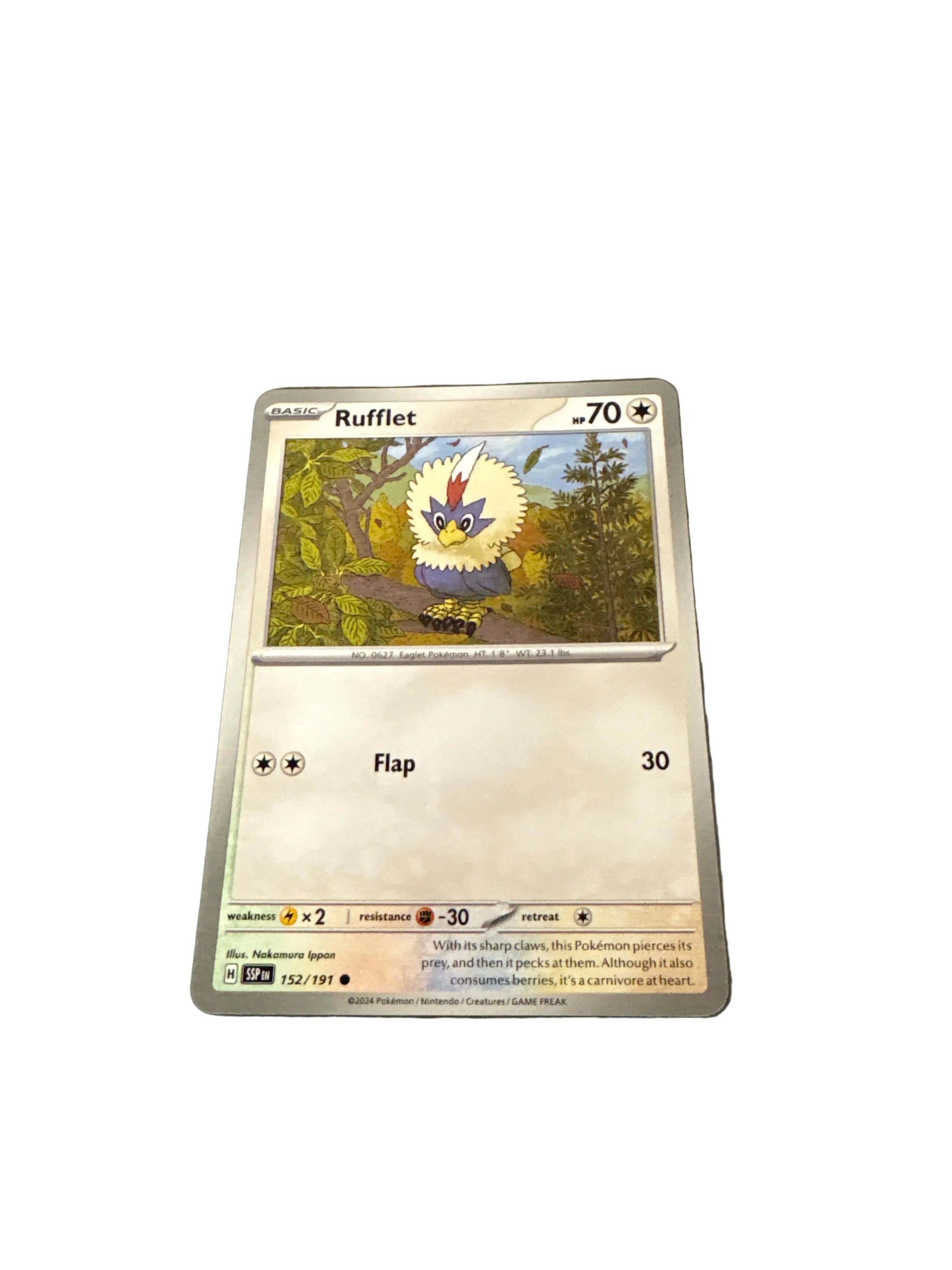 Pokemon Rufflet
