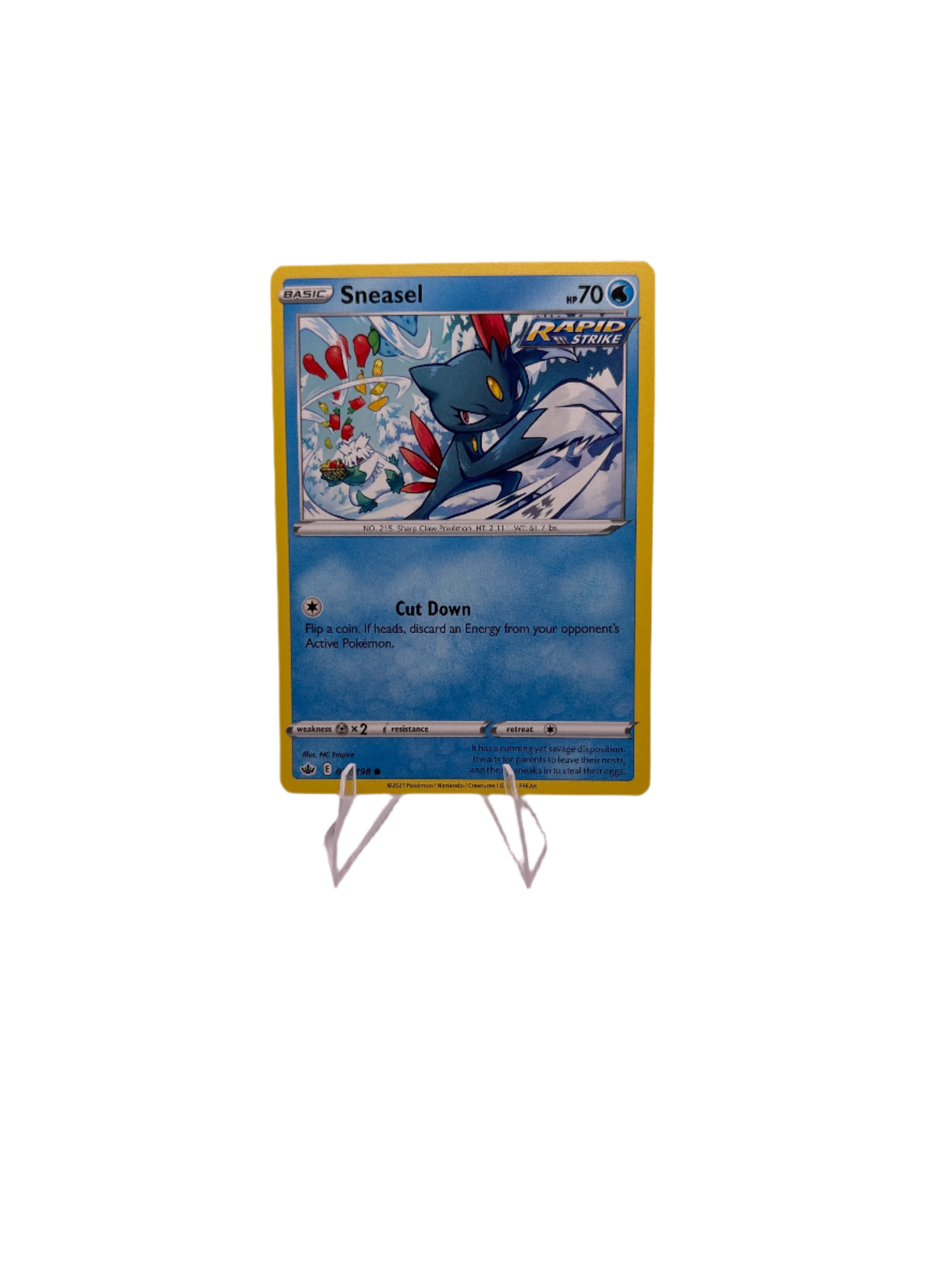 Pokemon Sneasel