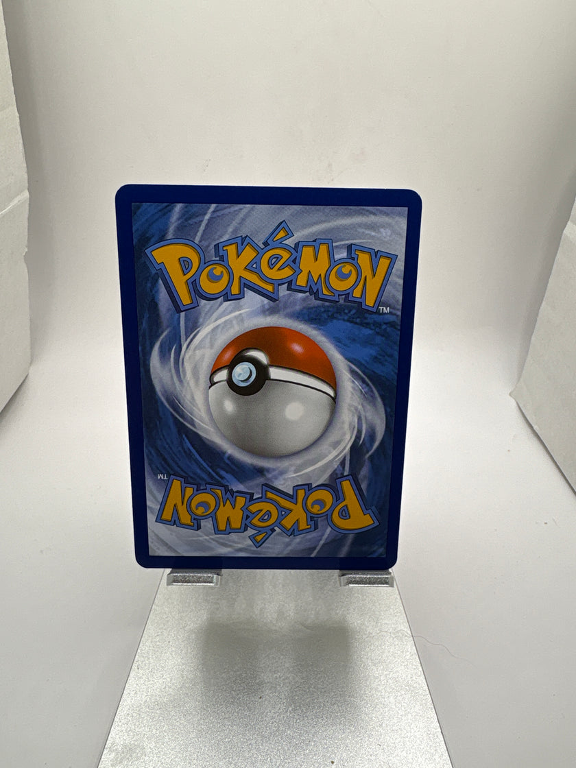 Pokemon Black Belt’s Training