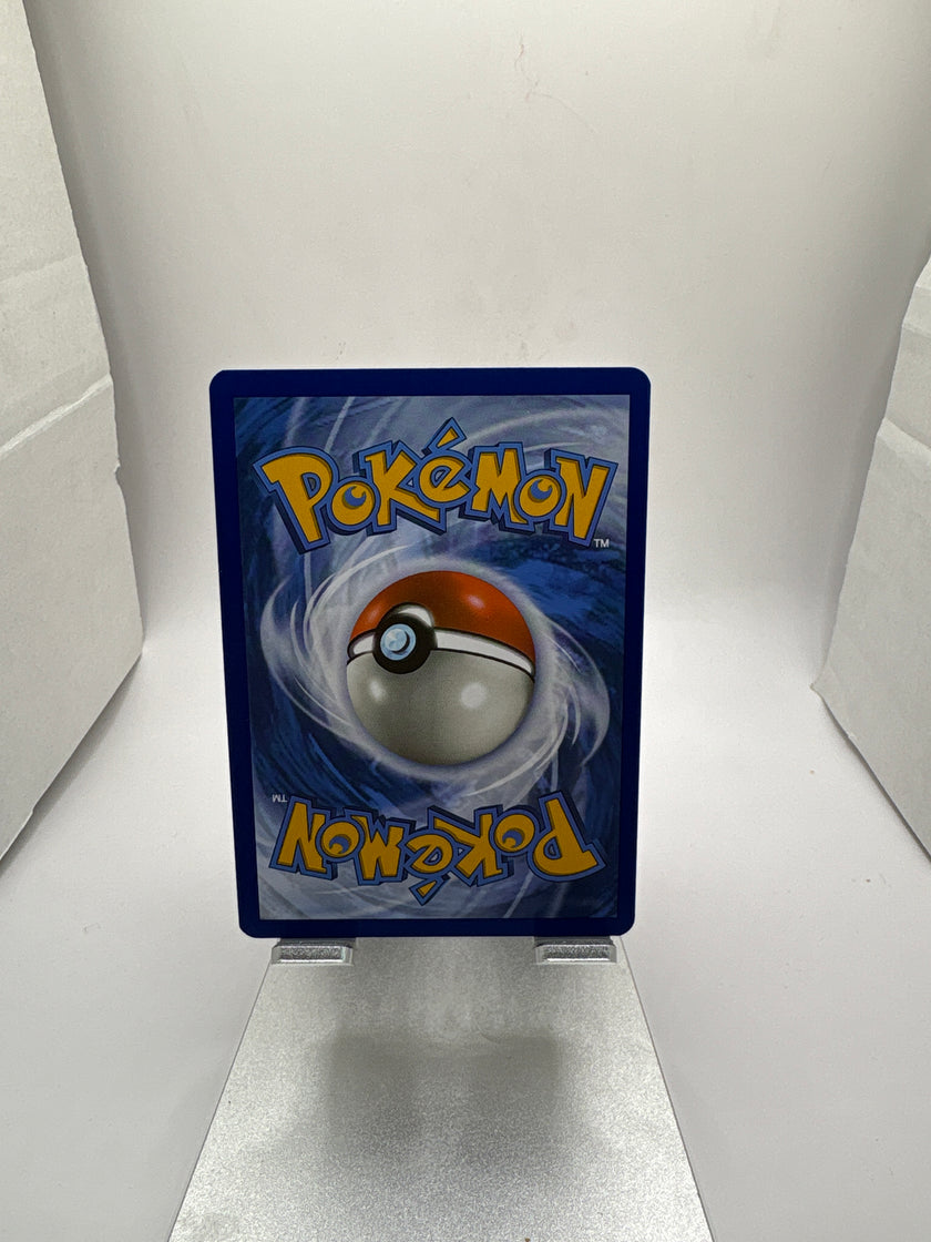 Pokemon Combusken