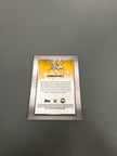 Topps Shawn Michaels