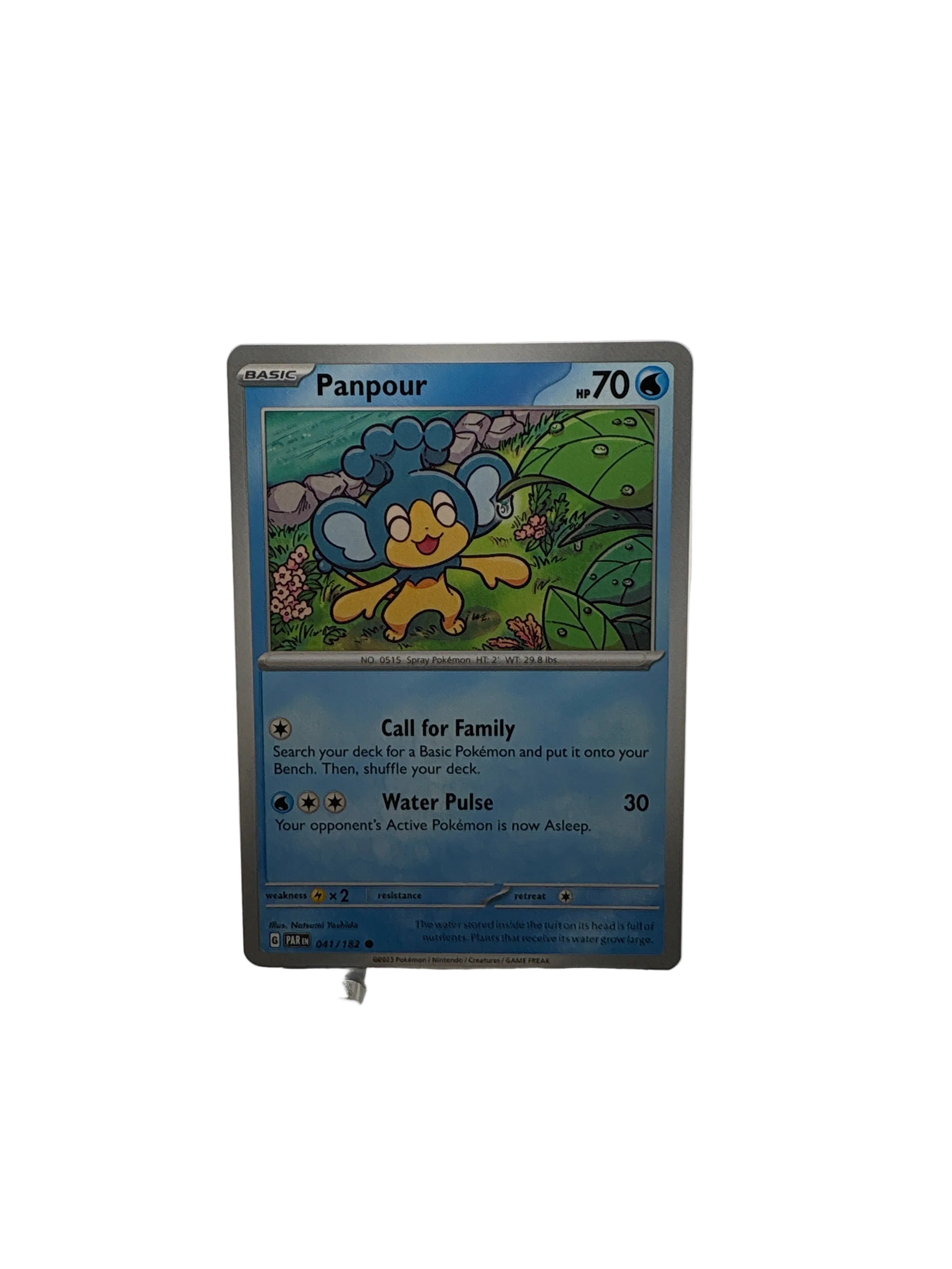 Pokemon Panpour