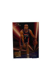 Flair Tim Hardaway