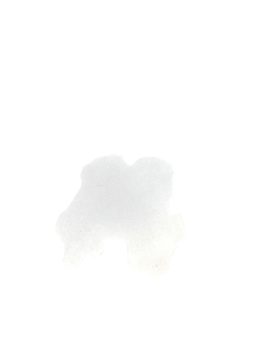 Anime Sticker + 2 Mystery Stickers