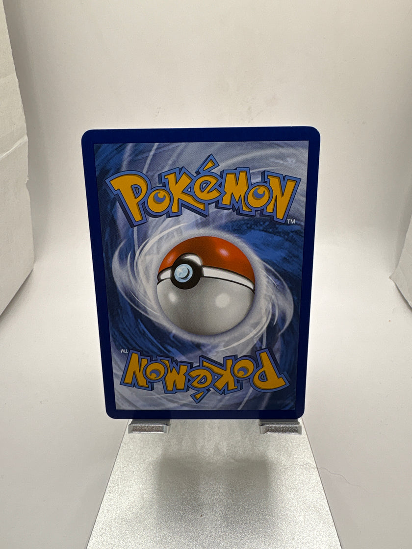Pokemon Swinub