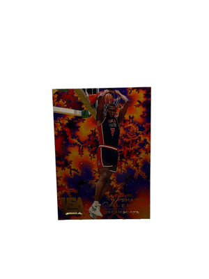 Flair Shawn Kemp