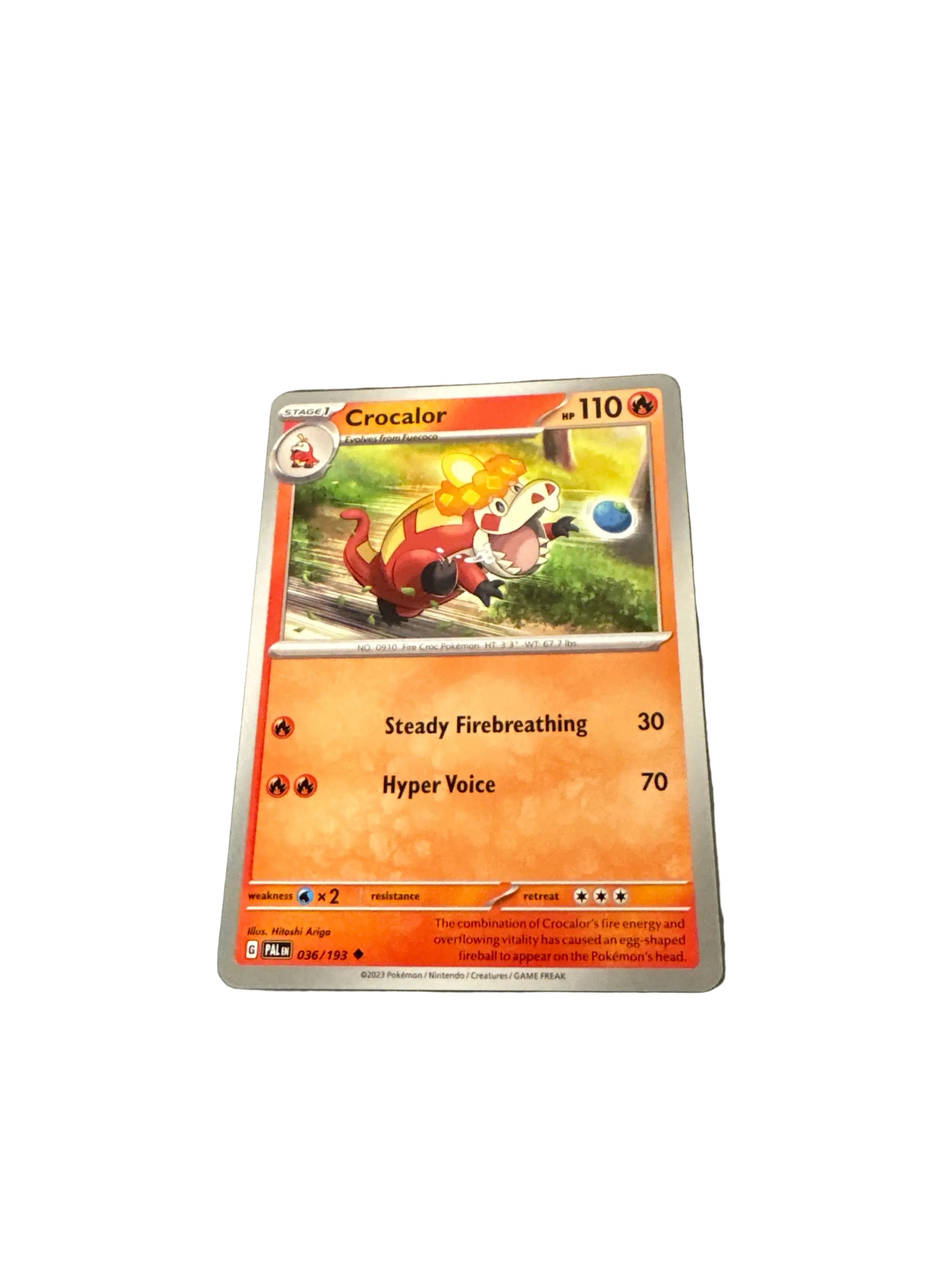 Pokemon Crocalor
