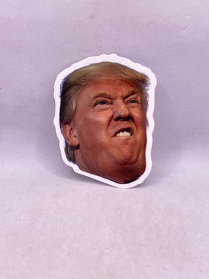 Donald Trump Sticker