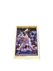 Premier Kirby Puckett