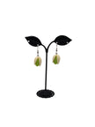 Pistachio Nut Earrings