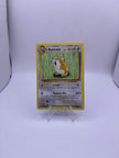 Pokemon Raticate
