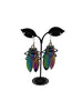 Large Cicada Earrings