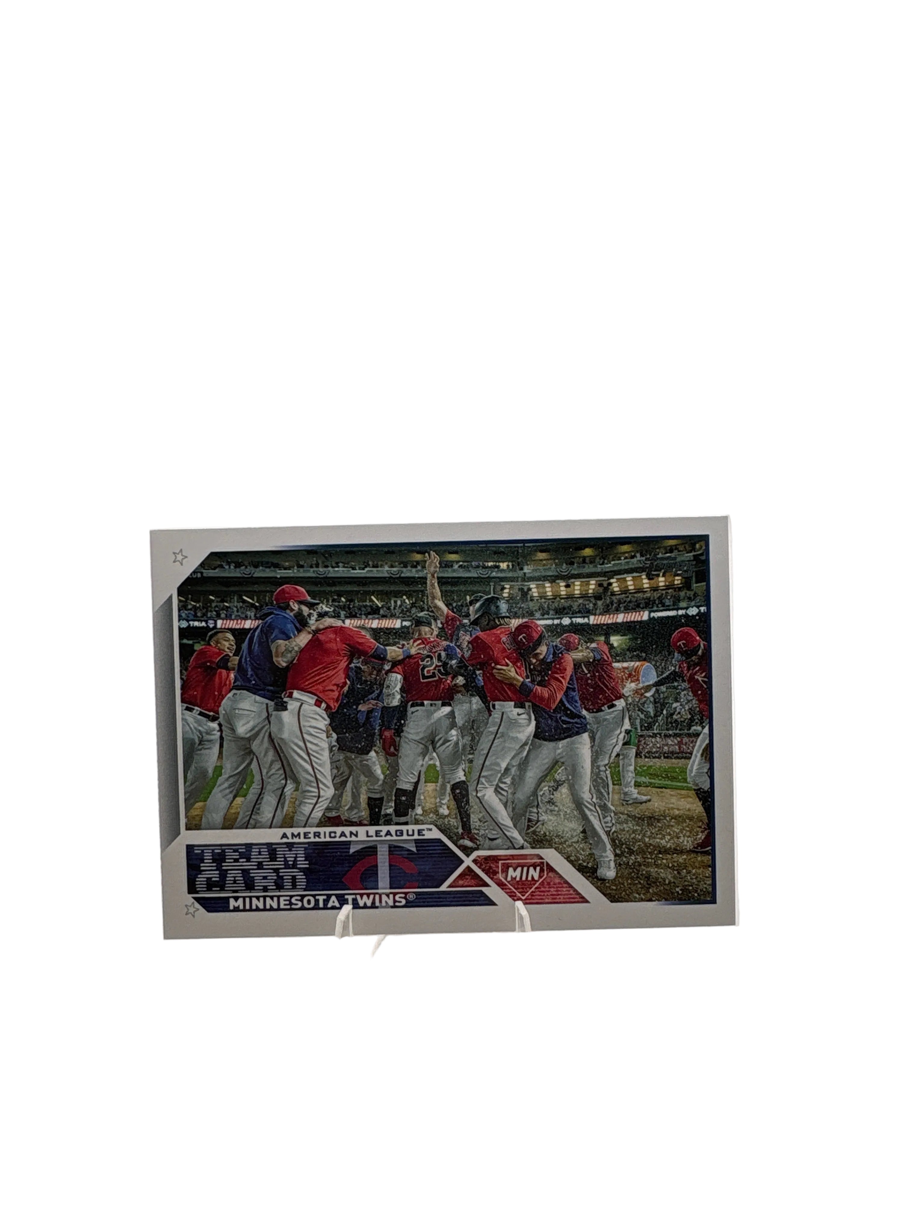 Topps Minnesota Twins Team Card