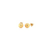 10k Yellow Gold Round Stud Earrings (6mm)