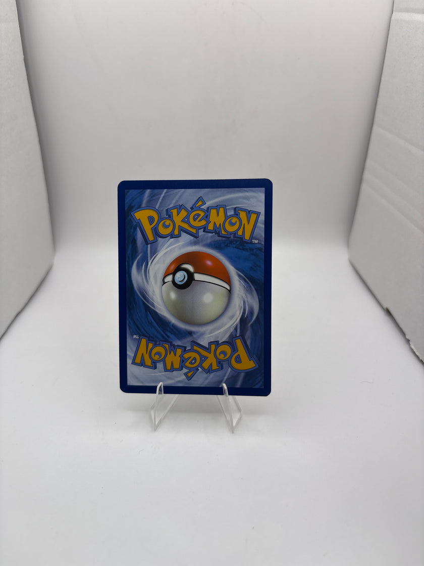 Pokemon Picnic Basket