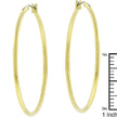 Large Golden Hoop Earrings