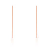 Carolee Rose Gold Stainless Steel Long Line Drop Earrings