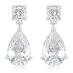 Elegant Cubic Zirconia Drop Earrings