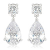 Elegant Cubic Zirconia Drop Earrings