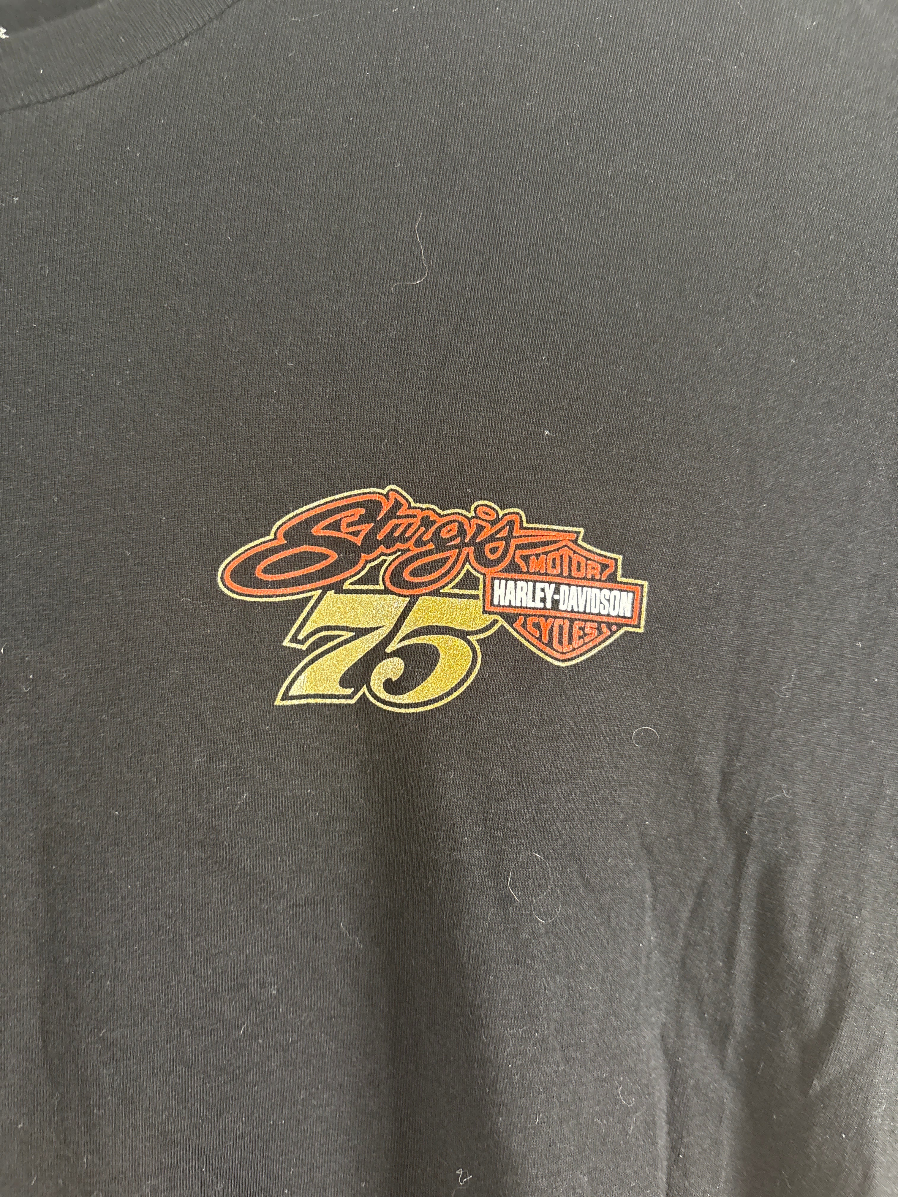 Harley-Davidson Motor Clothes Sturgis 75Th Anniversary T Shirt