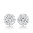 Bella Bridal Earrings in Clear